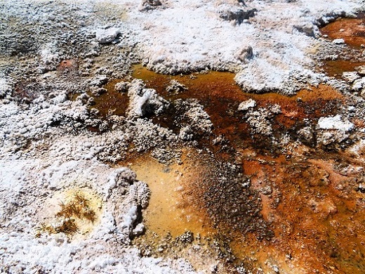 Foto: Andreas Koller / Wandertour / Große Salzwanderung um die Laguna Verde (4408m) / Salz... / 28.01.2020 01:29:10