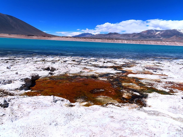 Foto: Andreas Koller / Wandertour / Große Salzwanderung um die Laguna Verde (4408m) / 28.01.2020 01:28:57