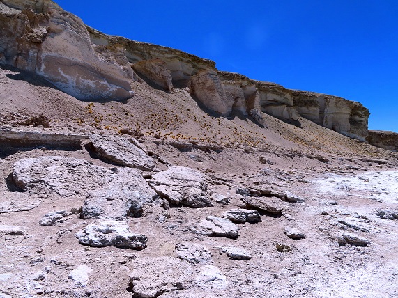 Foto: Andreas Koller / Wandertour / Große Salzwanderung um die Laguna Verde (4408m) / 28.01.2020 01:28:37