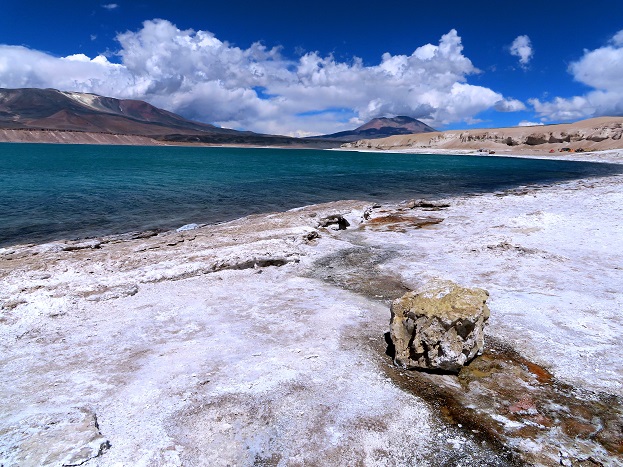 Foto: Andreas Koller / Wandertour / Große Salzwanderung um die Laguna Verde (4408m) / 28.01.2020 01:28:30