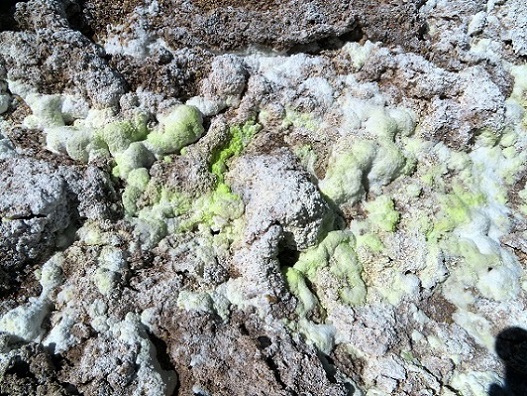 Foto: Andreas Koller / Wandertour / Große Salzwanderung um die Laguna Verde (4408m) / 28.01.2020 01:28:23