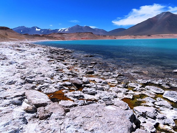 Foto: Andreas Koller / Wandertour / Große Salzwanderung um die Laguna Verde (4408m) / 28.01.2020 01:28:14