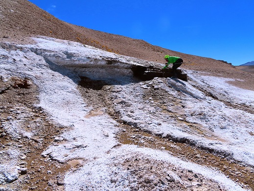Foto: Andreas Koller / Wandertour / Große Salzwanderung um die Laguna Verde (4408m) / 28.01.2020 01:28:07