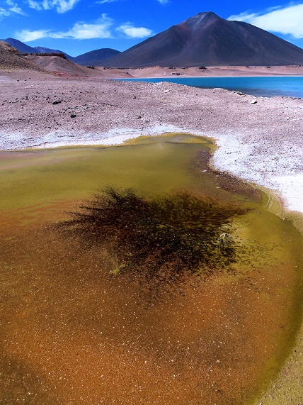 Foto: Andreas Koller / Wandertour / Große Salzwanderung um die Laguna Verde (4408m) / 28.01.2020 01:27:52