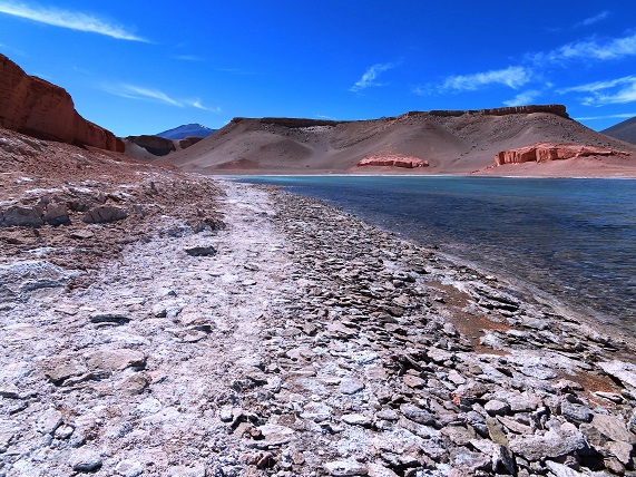 Foto: Andreas Koller / Wandertour / Große Salzwanderung um die Laguna Verde (4408m) / 28.01.2020 01:27:22