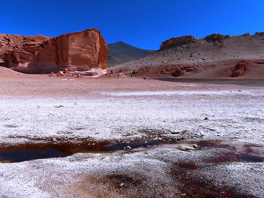 Foto: Andreas Koller / Wandertour / Große Salzwanderung um die Laguna Verde (4408m) / 28.01.2020 01:27:07