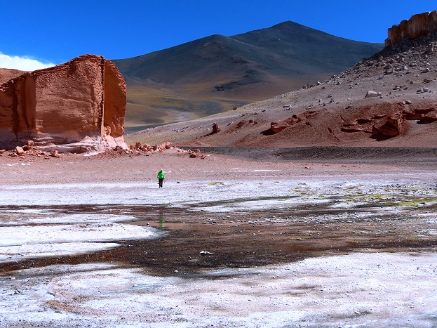 Foto: Andreas Koller / Wandertour / Große Salzwanderung um die Laguna Verde (4408m) / 28.01.2020 01:26:43
