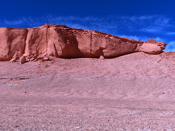 Foto: Andreas Koller / Wandertour / Große Salzwanderung um die Laguna Verde (4408m) / Der Lindwurm von Klagenfurt??? Mitten in der Atacama in Chile?? :) / 28.01.2020 01:26:29