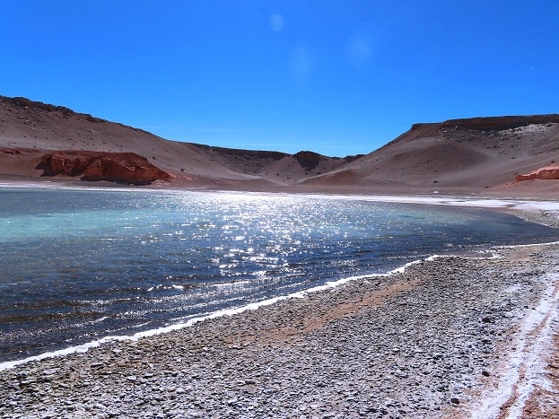 Foto: Andreas Koller / Wandertour / Große Salzwanderung um die Laguna Verde (4408m) / 28.01.2020 01:25:57
