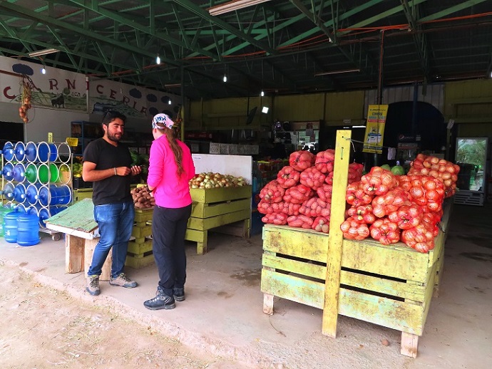 Foto: Andreas Koller / Wandertour / Cerro Laguna Santa Rosa (4132m) / Von Copiapo in die Atacama / 30.01.2020 02:46:48