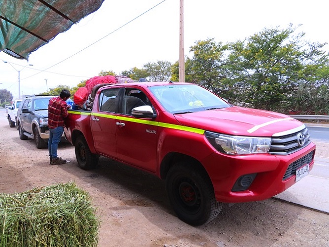 Foto: Andreas Koller / Wandertour / Cerro Laguna Santa Rosa (4132m) / 30.01.2020 02:46:31