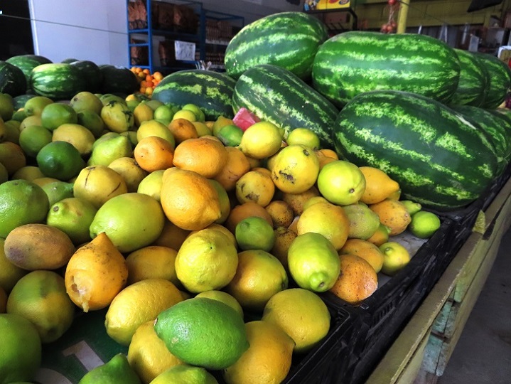 Foto: Andreas Koller / Wandertour / Cerro Laguna Santa Rosa (4132m) / 30.01.2020 02:46:26