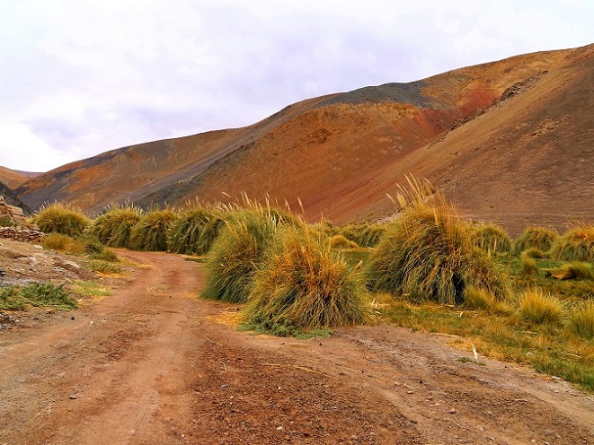 Foto: Andreas Koller / Wandertour / Cerro Laguna Santa Rosa (4132m) / 30.01.2020 02:45:55