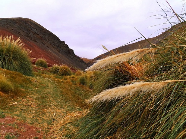 Foto: Andreas Koller / Wandertour / Cerro Laguna Santa Rosa (4132m) / 30.01.2020 02:45:36