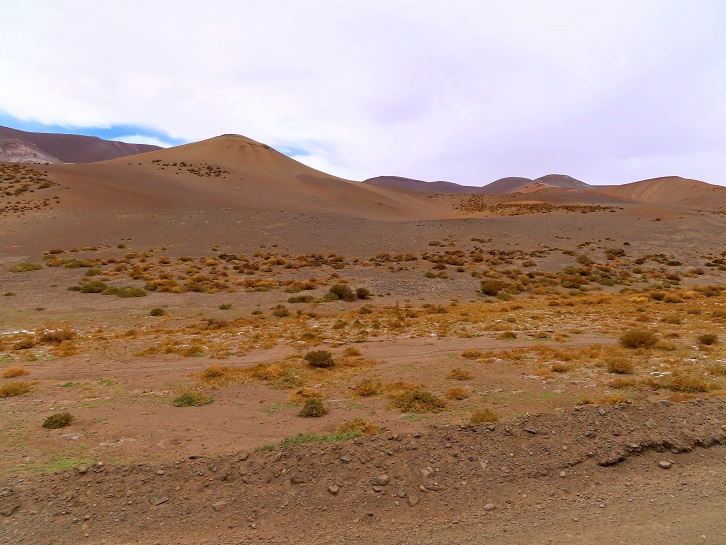 Foto: Andreas Koller / Wandertour / Cerro Laguna Santa Rosa (4132m) / 30.01.2020 02:43:29