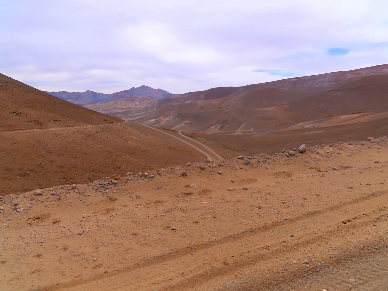 Foto: Andreas Koller / Wandertour / Cerro Laguna Santa Rosa (4132m) / 30.01.2020 02:43:08