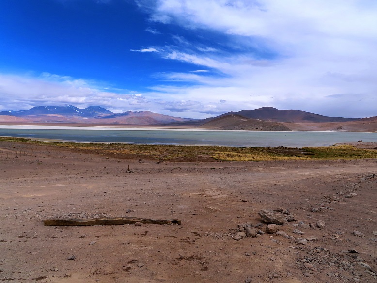 Foto: Andreas Koller / Wandertour / Cerro Laguna Santa Rosa (4132m) / 30.01.2020 02:42:07