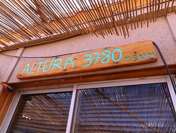 Foto: Andreas Koller / Wandertour / Cerro Laguna Santa Rosa (4132m) / Refugo Andino / 30.01.2020 02:41:45