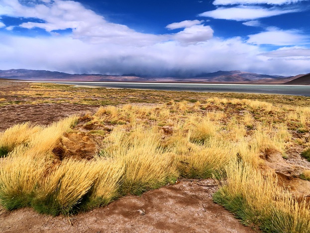 Foto: Andreas Koller / Wandertour / Cerro Laguna Santa Rosa (4132m) / 30.01.2020 02:41:22
