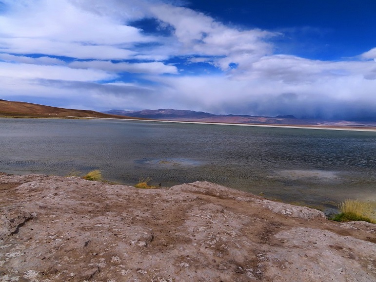 Foto: Andreas Koller / Wandertour / Cerro Laguna Santa Rosa (4132m) / Zuerst zur Laguna Santa Rosa / 30.01.2020 02:41:15