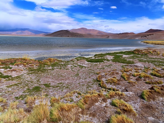 Foto: Andreas Koller / Wandertour / Cerro Laguna Santa Rosa (4132m) / 30.01.2020 02:40:57