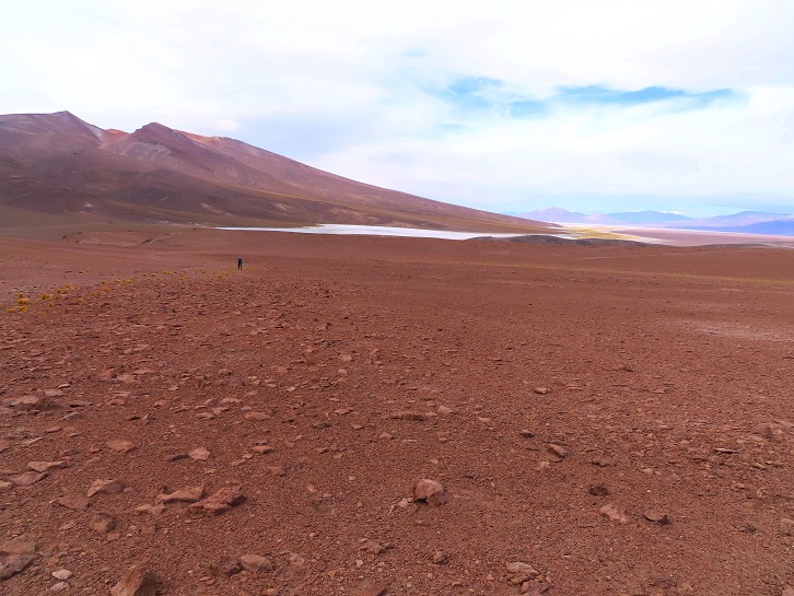 Foto: Andreas Koller / Wandertour / Cerro Laguna Santa Rosa (4132m) / 30.01.2020 02:40:22