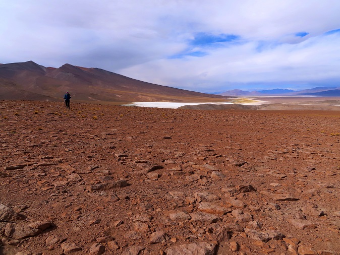 Foto: Andreas Koller / Wandertour / Cerro Laguna Santa Rosa (4132m) / 30.01.2020 02:39:21