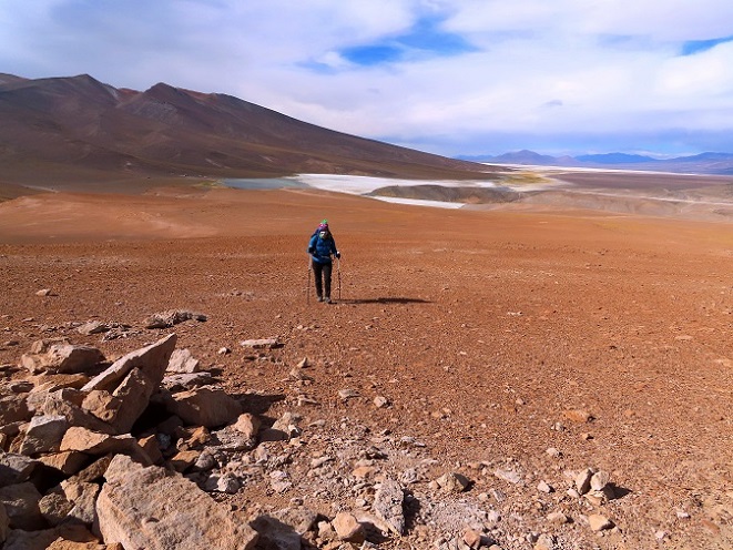 Foto: Andreas Koller / Wandertour / Cerro Laguna Santa Rosa (4132m) / 30.01.2020 02:38:57