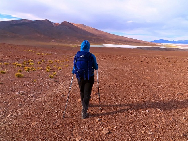 Foto: Andreas Koller / Wandertour / Cerro Laguna Santa Rosa (4132m) / 30.01.2020 02:36:58