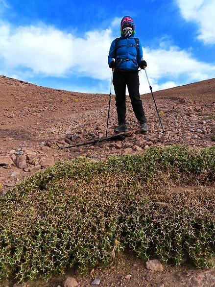 Foto: Andreas Koller / Wandertour / Cerro Laguna Santa Rosa (4132m) / 30.01.2020 02:36:52