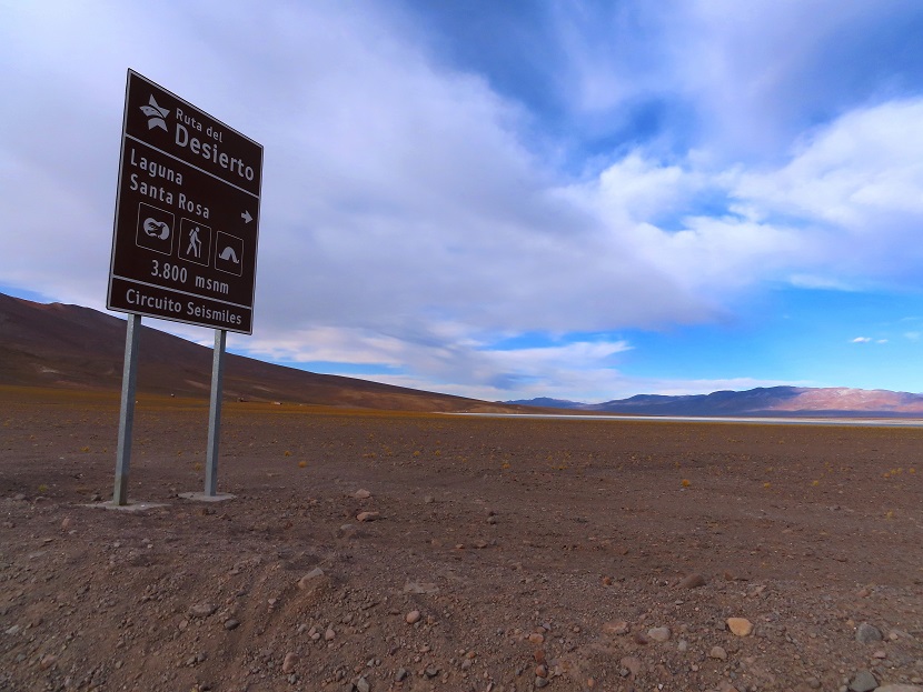 Foto: Andreas Koller / Wandertour / Cerro Laguna Santa Rosa (4132m) / Zurück zum Refugo Andino / 30.01.2020 02:36:45