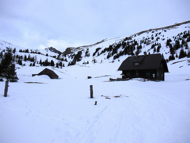Foto: Andreas Koller / Skitour / Auf den Kleinhansl (2217m) / Kurz vor der Wildalmhütte / 07.03.2020 15:29:09