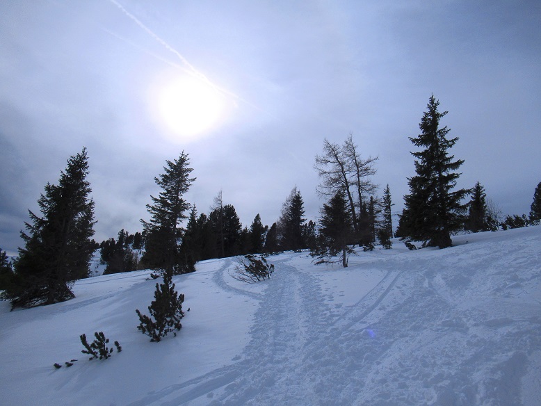 Foto: Andreas Koller / Skitour / Auf den Kleinhansl (2217m) / 07.03.2020 15:28:07