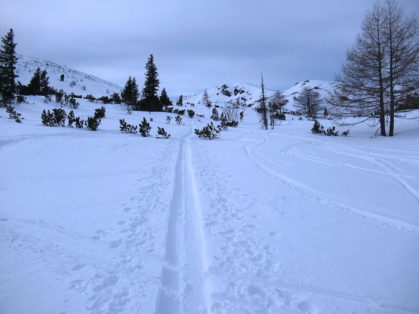 Foto: Andreas Koller / Skitour / Auf den Kleinhansl (2217m) / 07.03.2020 15:28:00