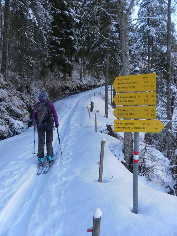 Foto: Wolfgang Lauschensky / Skitour / Gamsbeil 2169m aus dem Windautal / Abzweig zur Tagweidalm / 10.03.2020 10:51:57