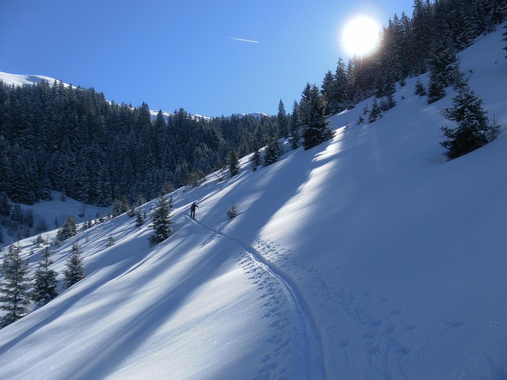 Foto: Wolfgang Lauschensky / Skitour / Gamsbeil 2169m aus dem Windautal / zum Waldrand / 10.03.2020 10:51:41