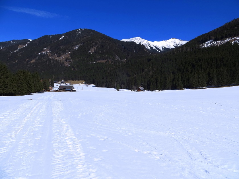 Foto: Andreas Koller / Skitour / Durchs Paradies auf die Krugtörlspitze (2042m) / 22.04.2020 00:42:24