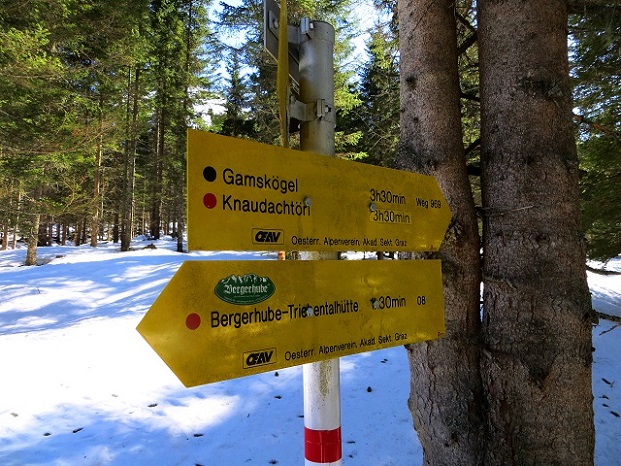 Foto: Andreas Koller / Skitour / Durchs Paradies auf die Krugtörlspitze (2042m) / 22.04.2020 00:41:55