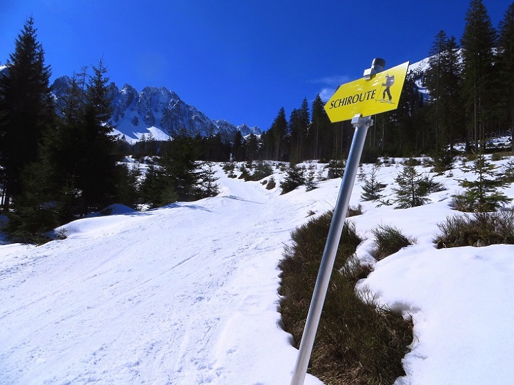 Foto: Andreas Koller / Skitour / Durchs Paradies auf die Krugtörlspitze (2042m) / 22.04.2020 00:41:39