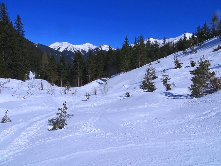 Foto: Andreas Koller / Skitour / Durchs Paradies auf die Krugtörlspitze (2042m) / 22.04.2020 00:41:14