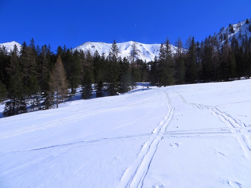 Foto: Andreas Koller / Skitour / Durchs Paradies auf die Krugtörlspitze (2042m) / 22.04.2020 00:40:29