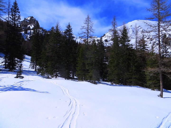 Foto: Andreas Koller / Skitour / Durchs Paradies auf die Krugtörlspitze (2042m) / 22.04.2020 00:40:15