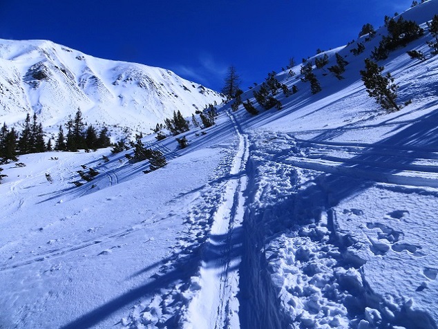 Foto: Andreas Koller / Skitour / Durchs Paradies auf die Krugtörlspitze (2042m) / 22.04.2020 00:39:45