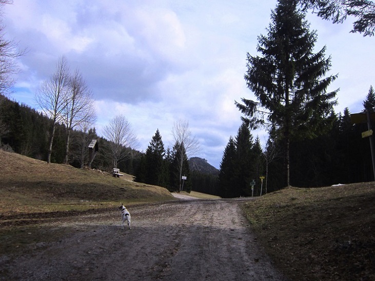 Foto: Andreas Koller / Wandertour / Genusswanderung zum Tirolerkogel (1379m) / 26.04.2020 01:22:38