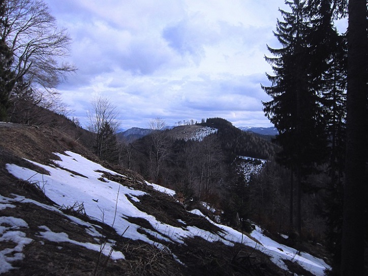 Foto: Andreas Koller / Wandertour / Genusswanderung zum Tirolerkogel (1379m) / 26.04.2020 01:21:56