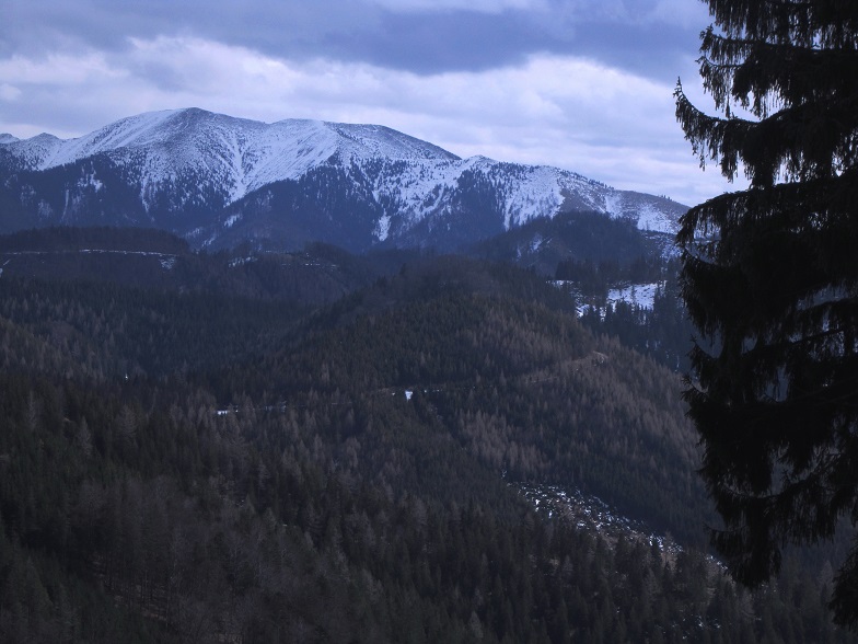 Foto: Andreas Koller / Wandertour / Genusswanderung zum Tirolerkogel (1379m) / 26.04.2020 01:21:47