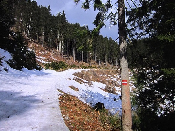 Foto: Andreas Koller / Wandertour / Genusswanderung zum Tirolerkogel (1379m) / 26.04.2020 01:21:32