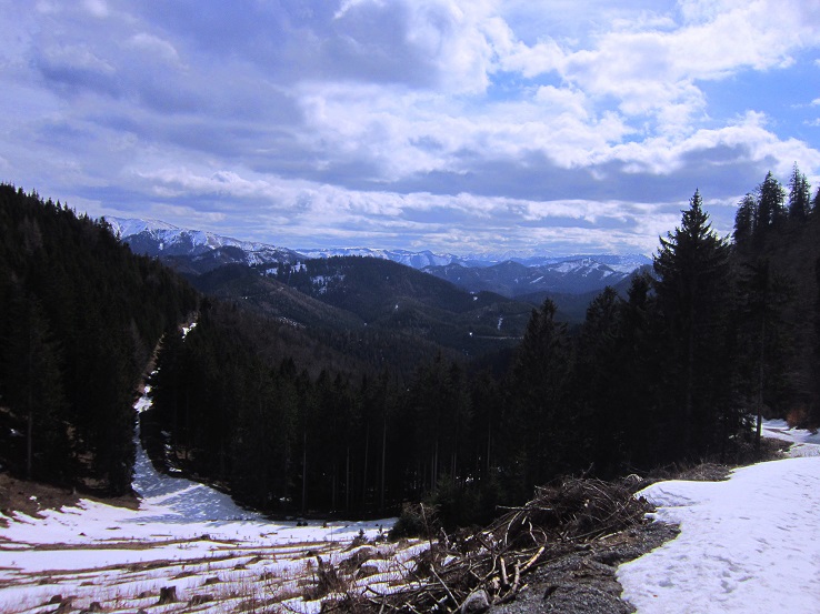 Foto: Andreas Koller / Wandertour / Genusswanderung zum Tirolerkogel (1379m) / 26.04.2020 01:21:26