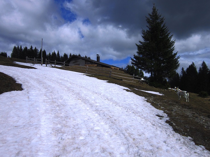 Foto: Andreas Koller / Wandertour / Genusswanderung zum Tirolerkogel (1379m) / 26.04.2020 01:21:08