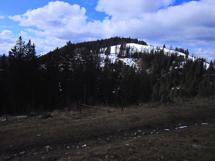 Foto: Andreas Koller / Wandertour / Genusswanderung zum Tirolerkogel (1379m) / 26.04.2020 01:20:47